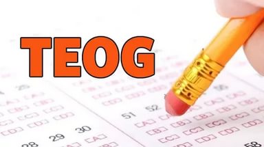 TEOG'da